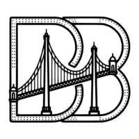 Bridge DNS logo