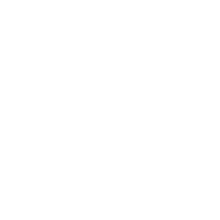 Bridge DNS logo