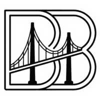 Bridge DNS logo