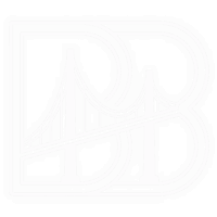 Bridge DNS logo